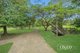 Photo - 813 Yakapari-Seaforth Road, Mount Jukes QLD 4740 - Image 20