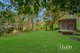 Photo - 813 Yakapari-Seaforth Road, Mount Jukes QLD 4740 - Image 24