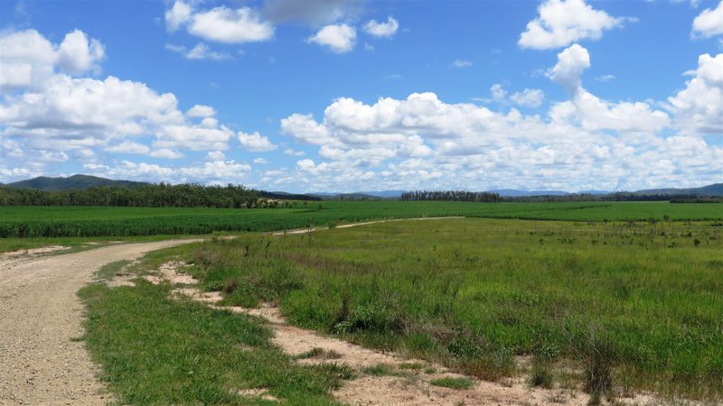 Photo - 814 Dougherty'S Road, Bloomsbury QLD 4799 - Image 8