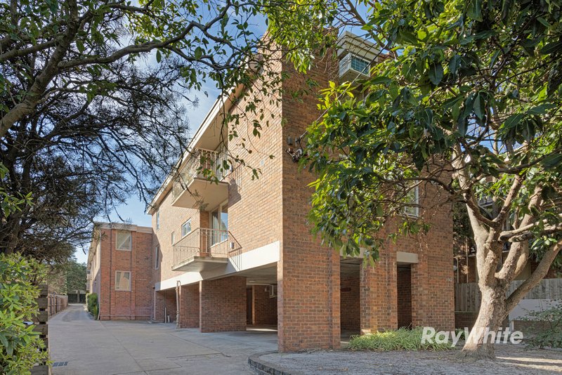 Photo - 8/150 Alma Road, St Kilda VIC 3182 - Image 1