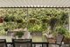 Photo - 8/159 Watson Street, Camp Hill QLD 4152 - Image 16