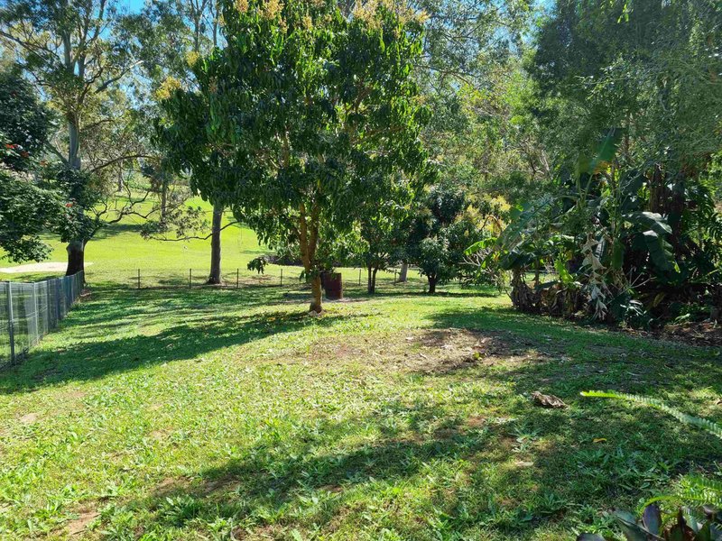 Photo - 817-821 Diddillibah Road, Diddillibah QLD 4559 - Image 5