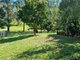 Photo - 817-821 Diddillibah Road, Diddillibah QLD 4559 - Image 5