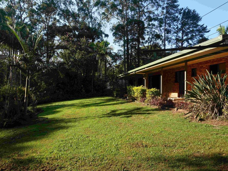 Photo - 817-821 Diddillibah Road, Diddillibah QLD 4559 - Image 6