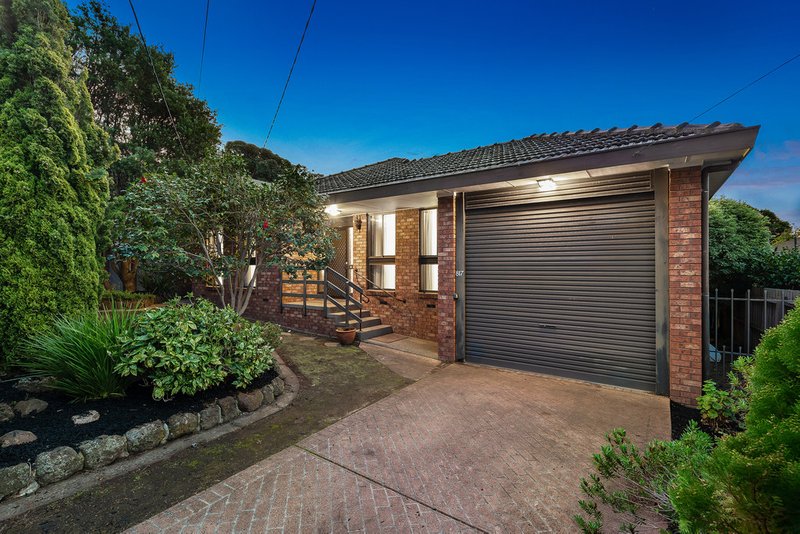 817 Waverley Road, Glen Waverley VIC 3150