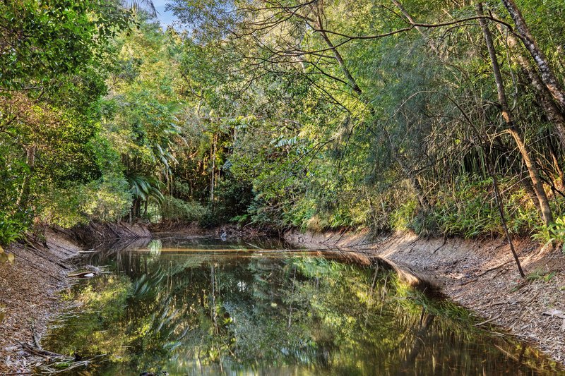 Photo - 818 Pomona Kin Kin Road, Kin Kin QLD 4571 - Image 15