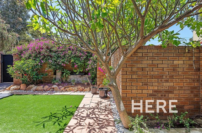 Photo - 8/185 Oxford Street, Leederville WA 6007 - Image 24