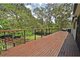 Photo - 819 Cavendish Road, Holland Park QLD 4121 - Image 6