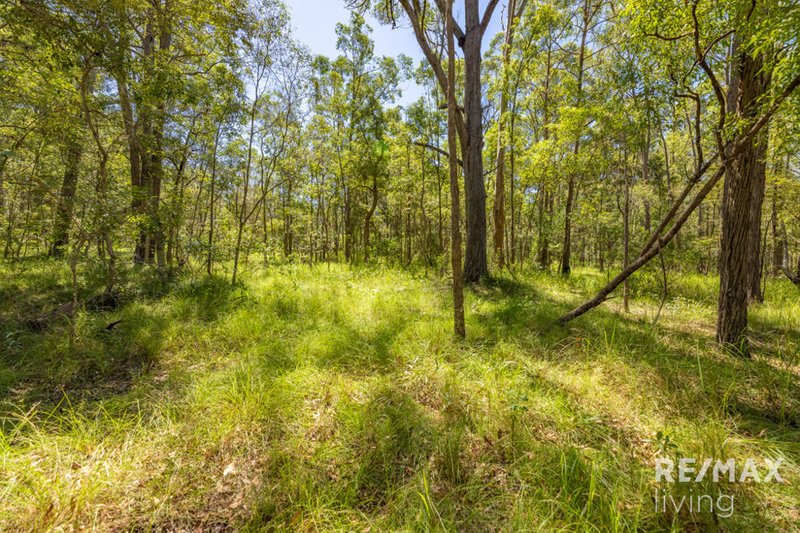 Photo - 82 Chambers Road, D'Aguilar QLD 4514 - Image 7