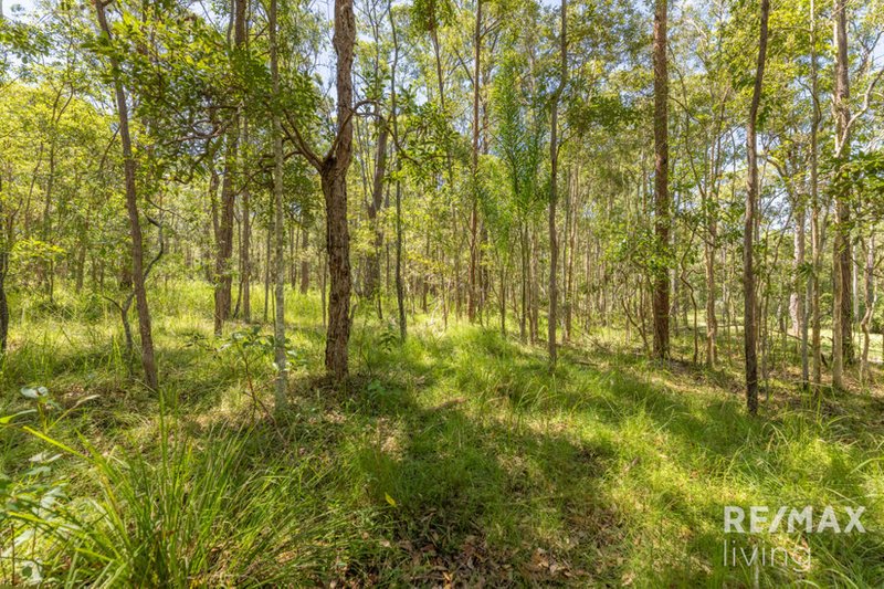 Photo - 82 Chambers Road, D'Aguilar QLD 4514 - Image 23