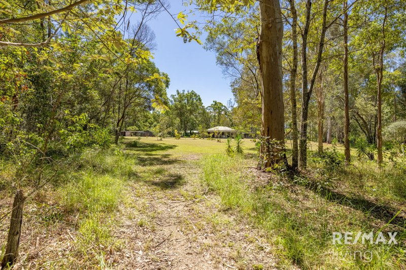 Photo - 82 Chambers Road, D'Aguilar QLD 4514 - Image 25