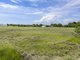 Photo - 82 David Road, Taromeo QLD 4314 - Image 7