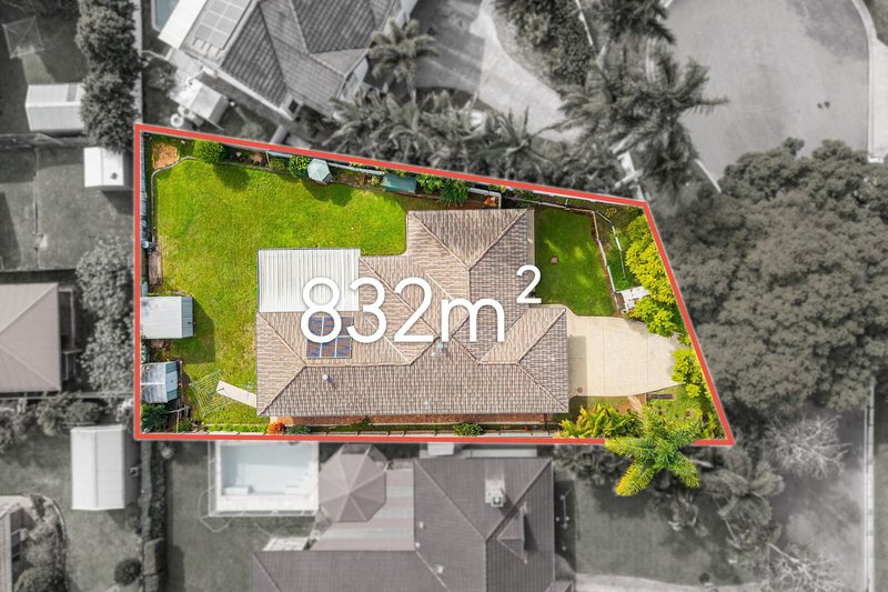 Photo - 82 Forrest Street, Nudgee QLD 4014 - Image 17