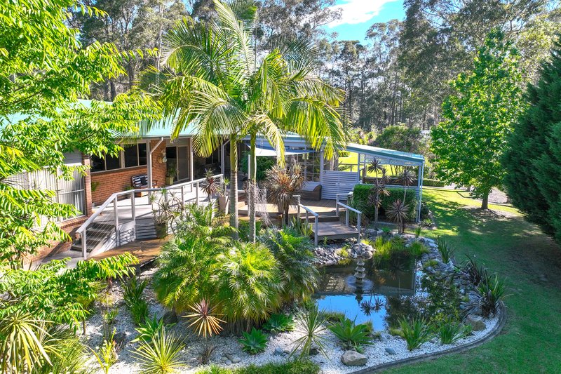 Photo - 82 Jack Reid Road, Termeil NSW 2539 - Image 31