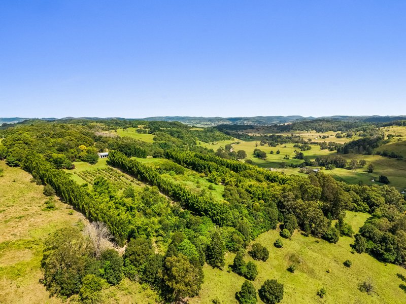 Photo - 82 Mcleay Road, North Lismore NSW 2480 - Image 13