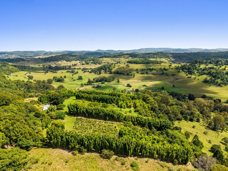 Photo - 82 Mcleay Road, North Lismore NSW 2480 - Image 15