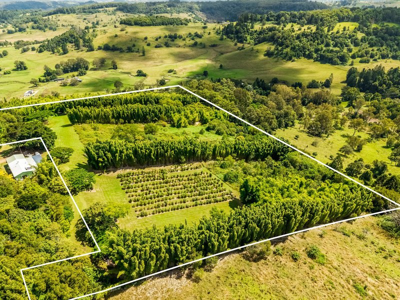 Photo - 82 Mcleay Road, North Lismore NSW 2480 - Image 16