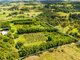 Photo - 82 Mcleay Road, North Lismore NSW 2480 - Image 16