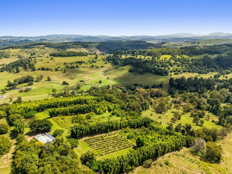Photo - 82 Mcleay Road, North Lismore NSW 2480 - Image 17