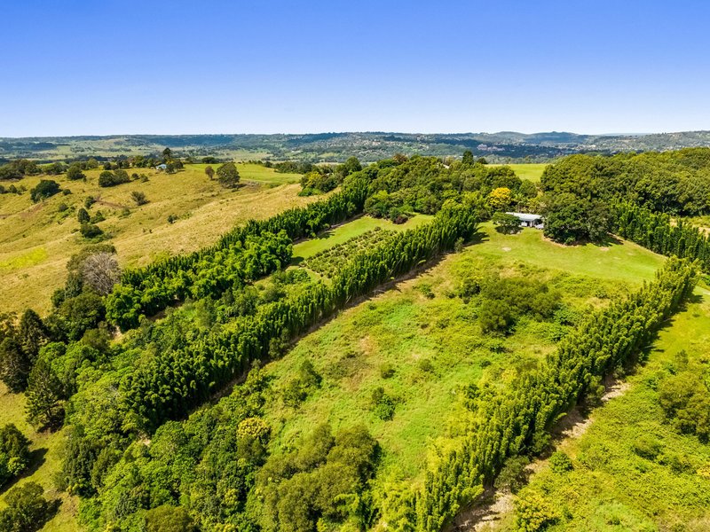 Photo - 82 Mcleay Road, North Lismore NSW 2480 - Image 19