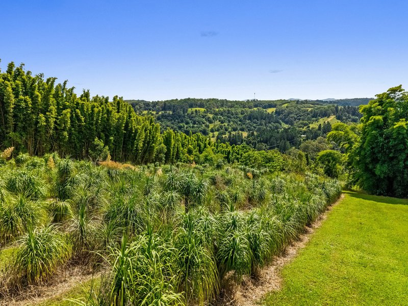 Photo - 82 Mcleay Road, North Lismore NSW 2480 - Image 22