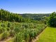 Photo - 82 Mcleay Road, North Lismore NSW 2480 - Image 22
