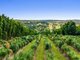 Photo - 82 Mcleay Road, North Lismore NSW 2480 - Image 23