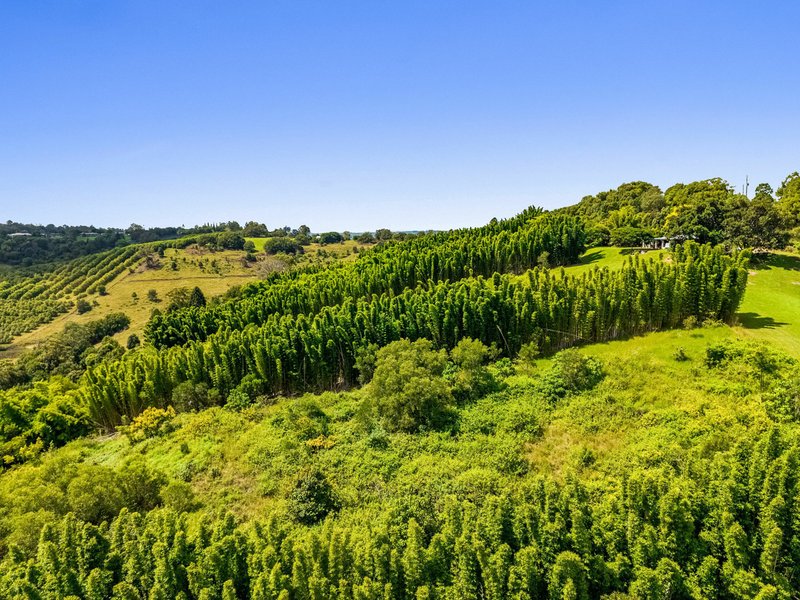 Photo - 82 Mcleay Road, North Lismore NSW 2480 - Image 25