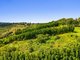 Photo - 82 Mcleay Road, North Lismore NSW 2480 - Image 25