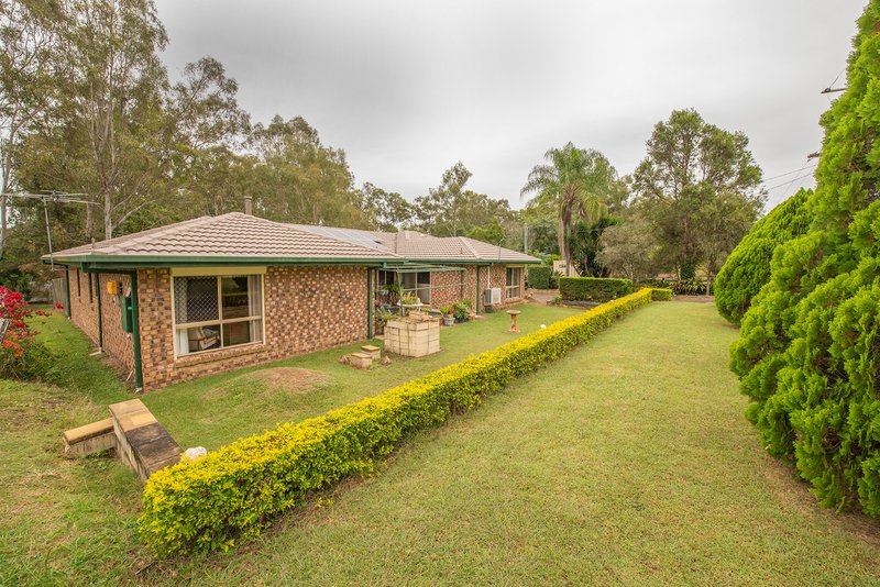 Photo - 82 Poplar Street, Walloon QLD 4306 - Image 14