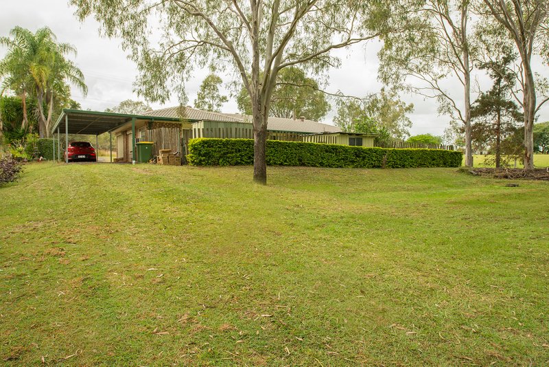 Photo - 82 Poplar Street, Walloon QLD 4306 - Image 15