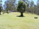 Photo - 82 Wilkes Road, Wilkesdale QLD 4608 - Image 19