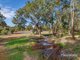 Photo - 820 Muchea East Road, Lower Chittering WA 6084 - Image 4