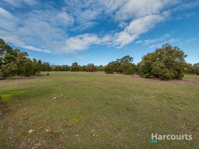 Photo - 820 Muchea East Road, Lower Chittering WA 6084 - Image 10