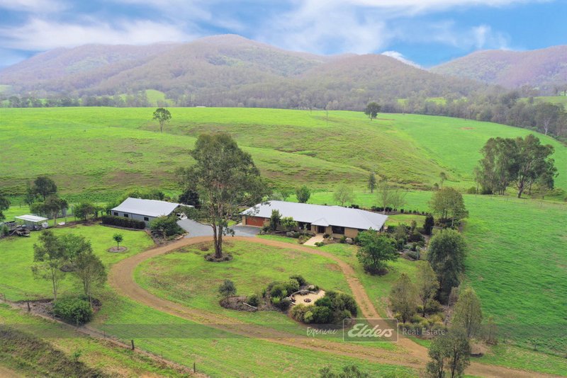 Photo - 822 Bowman Farm Road, Gloucester NSW 2422 - Image 17