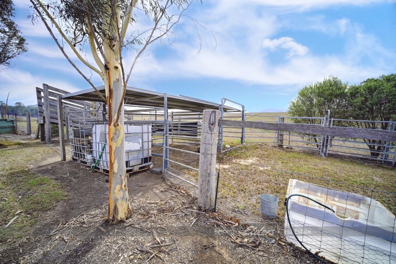 Photo - 822 Bowman Farm Road, Gloucester NSW 2422 - Image 24