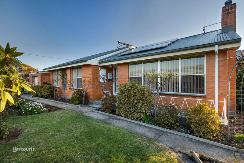 Photo - 822 Mount Hicks Road, Mount Hicks TAS 7325 - Image 14