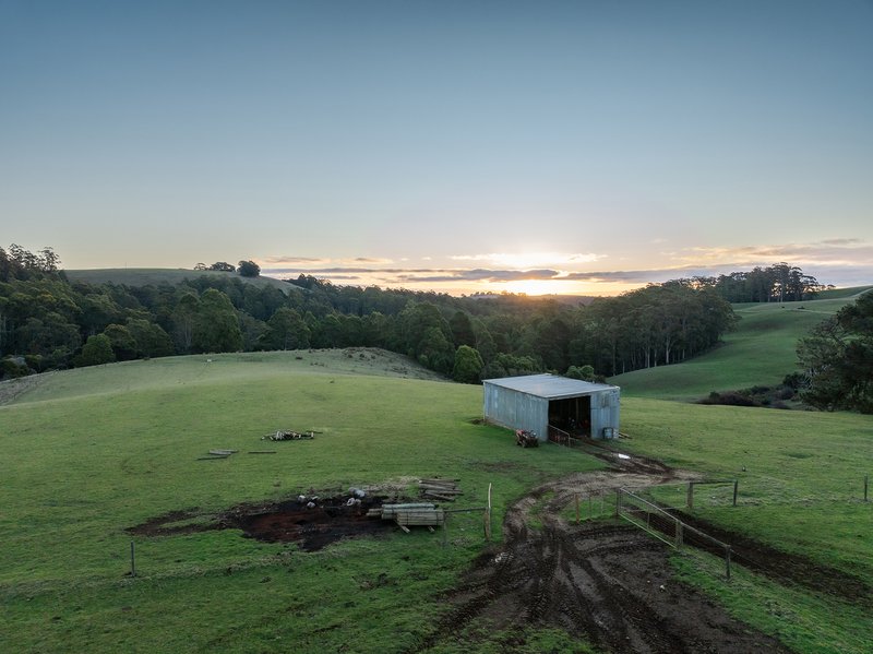 Photo - 822 Mount Hicks Road, Mount Hicks TAS 7325 - Image 23