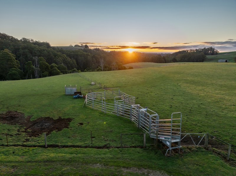 Photo - 822 Mount Hicks Road, Mount Hicks TAS 7325 - Image 26