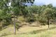 Photo - 8252 Brisbane Valley Highway, Harlin QLD 4314 - Image 2