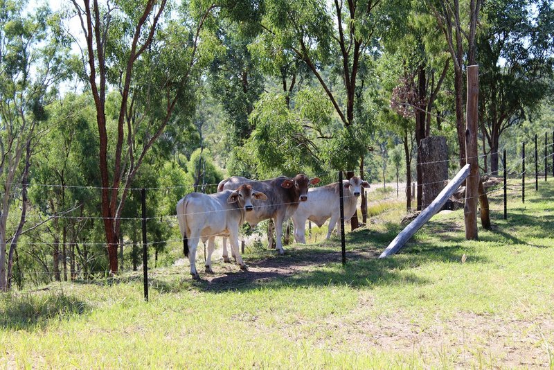 Photo - 8252 Brisbane Valley Highway, Harlin QLD 4314 - Image 11