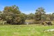 Photo - 827 Trial Hill Road, Pewsey Vale SA 5351 - Image 21