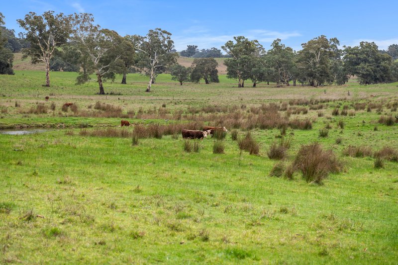 Photo - 827 Trial Hill Road, Pewsey Vale SA 5351 - Image 29