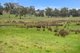 Photo - 827 Trial Hill Road, Pewsey Vale SA 5351 - Image 29