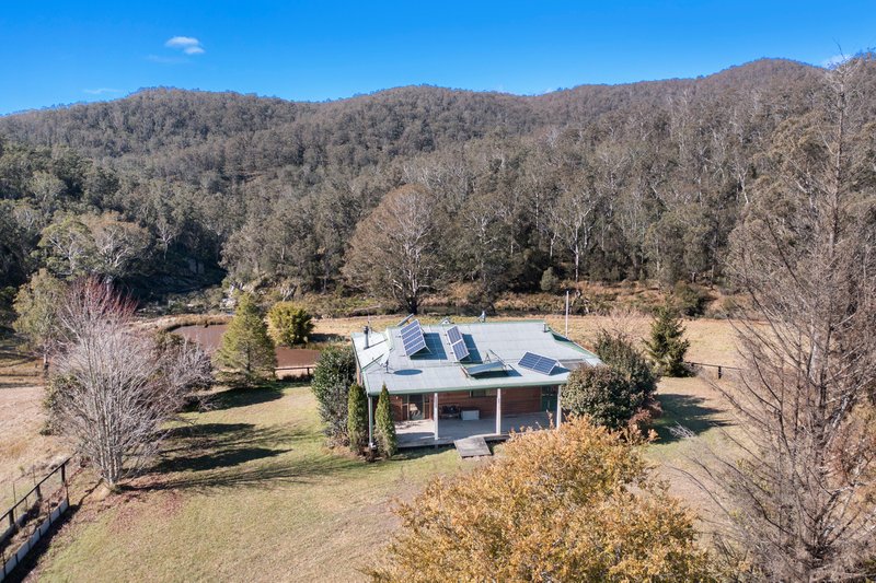 Photo - 829 Harness Cask Road, Tyringham NSW 2453 - Image 5