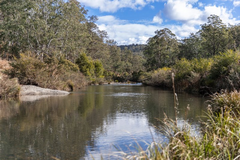 Photo - 829 Harness Cask Road, Tyringham NSW 2453 - Image 21