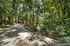 Photo - 829 The Pocket Road, The Pocket NSW 2483 - Image 18
