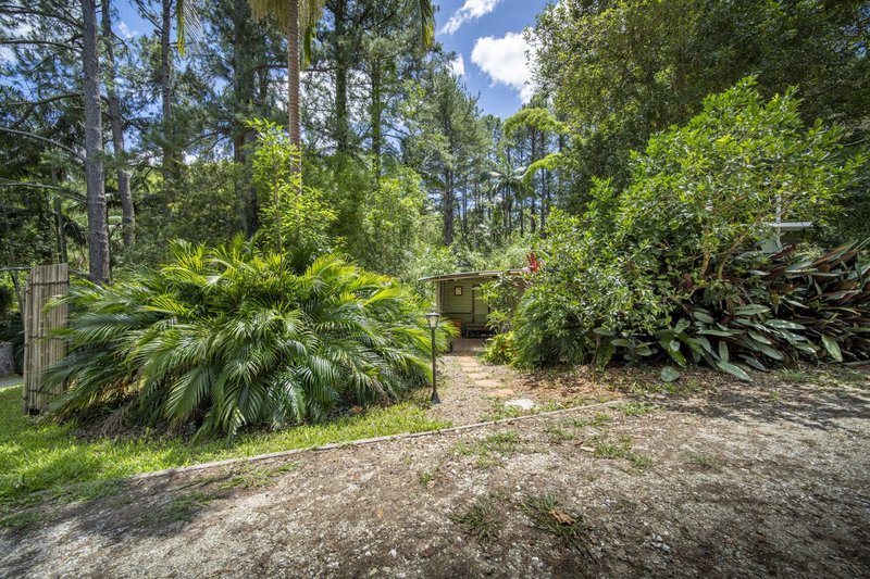 Photo - 829 The Pocket Road, The Pocket NSW 2483 - Image 25