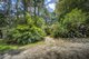 Photo - 829 The Pocket Road, The Pocket NSW 2483 - Image 25