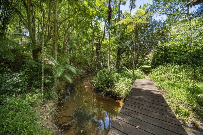 Photo - 829 The Pocket Road, The Pocket NSW 2483 - Image 29